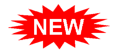 new_blink